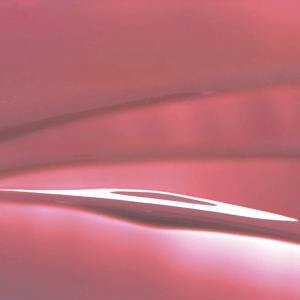 Lip Polish-037 Rosewood