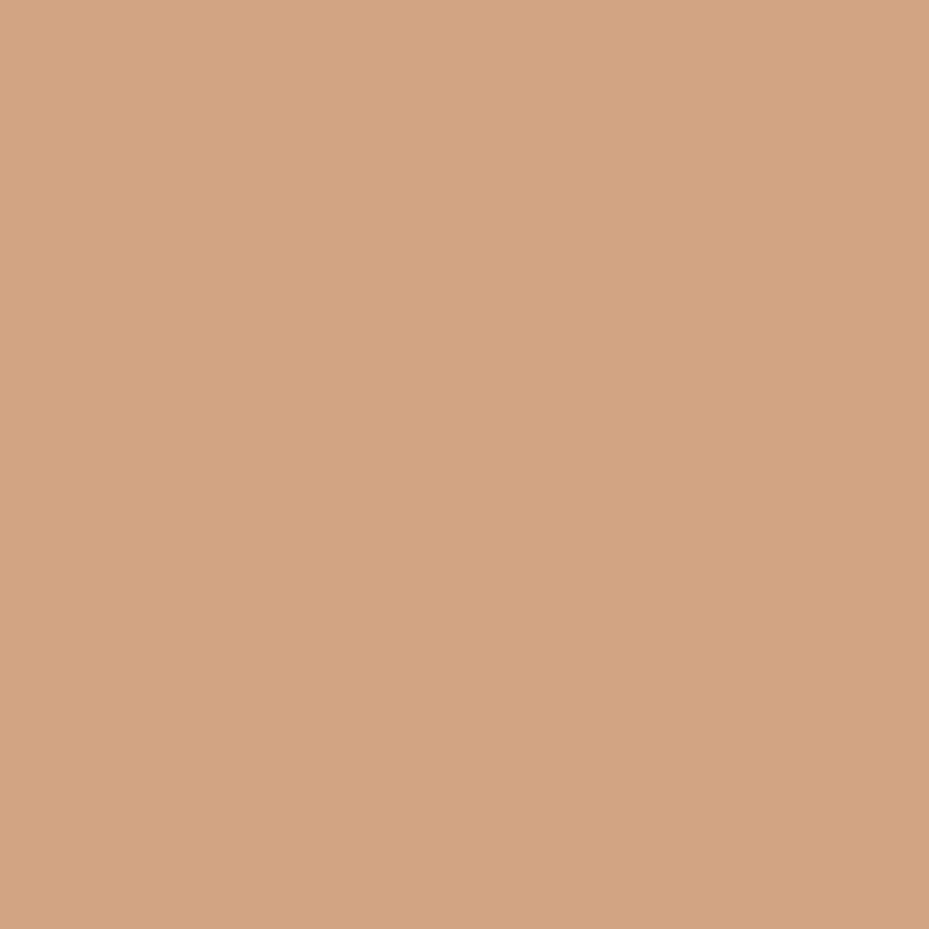 Fluid foundation – Pro’fusion-Hazelnut Tan