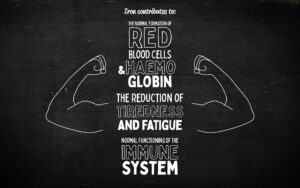 Brad’Fer – Comprimés à avaler – Fer