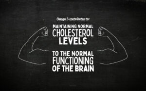 OMG 3 – gélules à avaler – Oméga 3