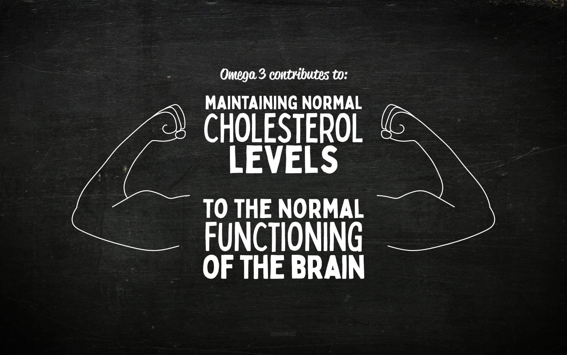OMG 3 – gélules à avaler – Oméga 3
