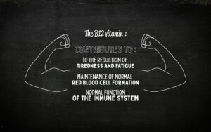 Bédouze Licorne – Comprimés à croquer – Vitamine B12