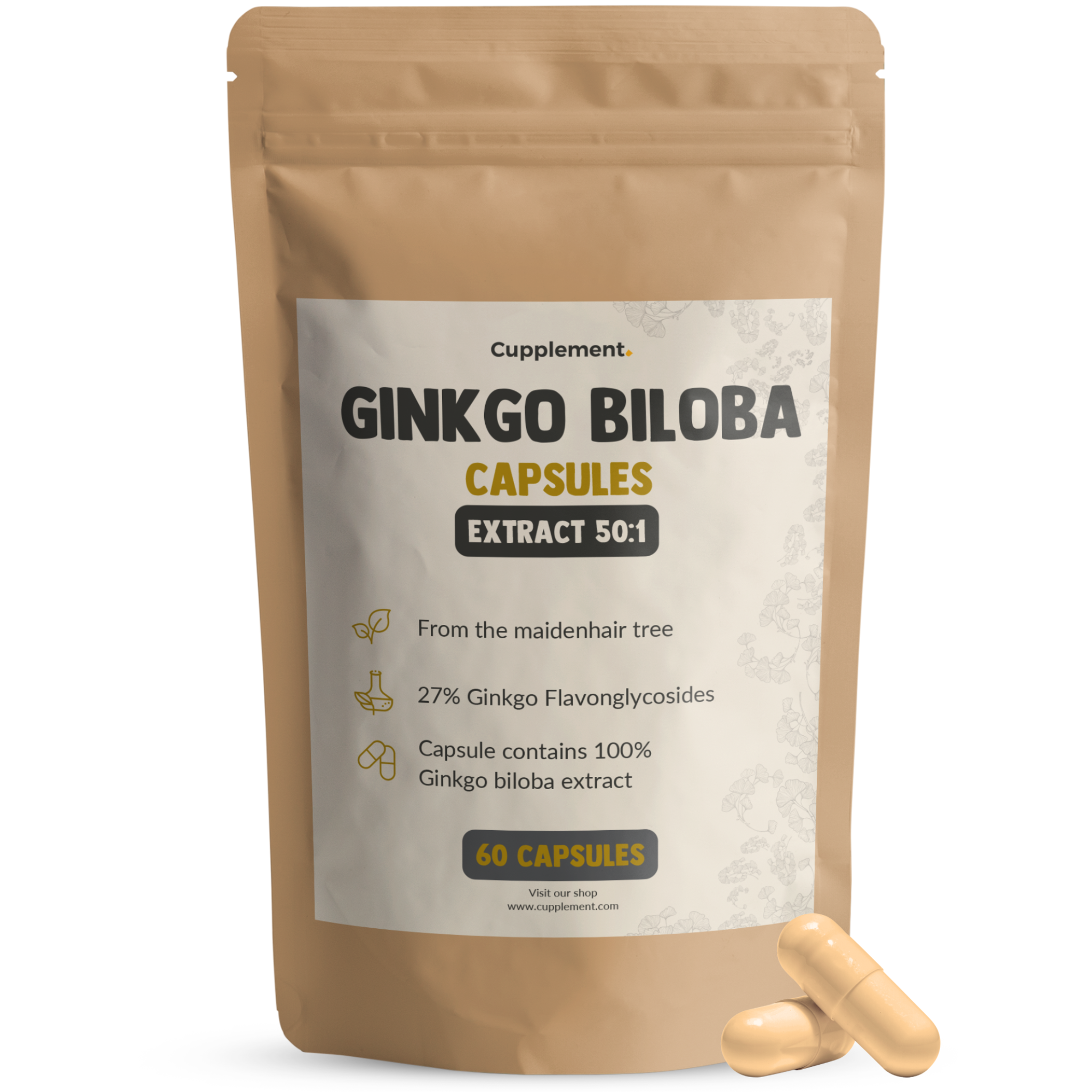 Ginkgo Biloba - 50:1 Extract - 120 MG per Capsule