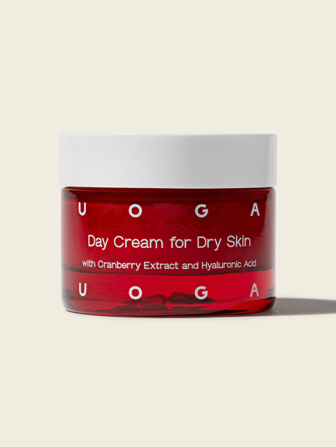 Day cream for dry skin